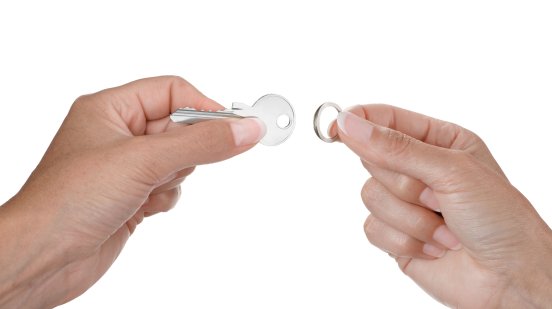 kr25-10st-26Nail Guard Easy_Troika.JPG