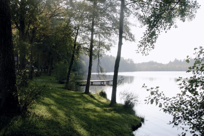 Seelentium_Holzoestersee.jpg