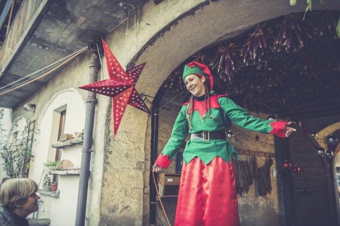 Web Version-La Via degli Elfi - Rancate-Omar Bariffi .jpg