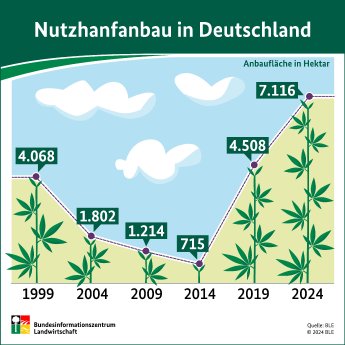 Infografik_Nutzhanf 2024.jpg