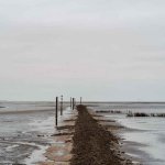 Biosphärenregion, UNESCO-Weltnaturerbe, Nationalpark: Das Wattenmeer zählt zu den außergewöhnlichsten Naturräumen Europas. Auf Juist können Gäste diesen besonderen unmittelbar erleben (Foto: Kea Pauly, Kalea Photography).