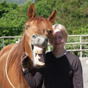 Lachendes Pferd&Ruth
