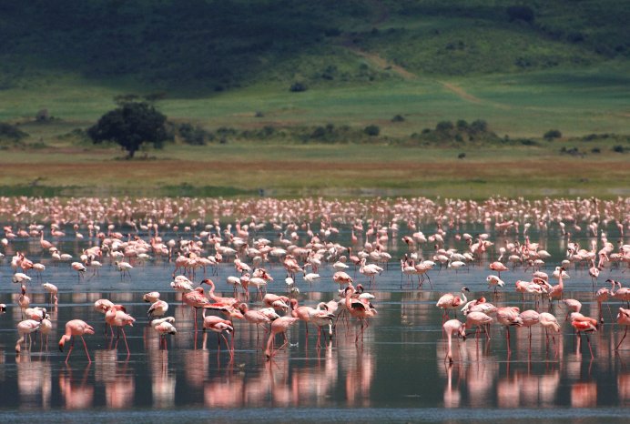 Tanzania_Startbild_Land_Ngorongoro Krater.jpg