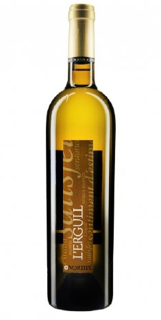 xanthurus - Spanischer Weinsommer - L'Ergull de Mortitx 2010.jpg