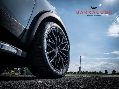 Bild 5 mit  Logo.jpg