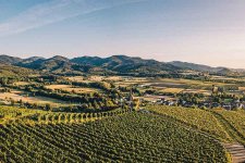 Blick von der Ölbergkapelle in Ehrenstetten auf den Schwarzwald und nach Staufen.