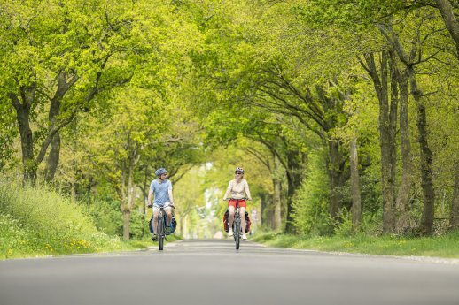 _DSC1522-Zeven-Oldendorf©Mönchsweg e.V.-MarTiem Fotografie.jpg