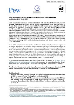 Joint Statement to the 29th Session of the Indian Ocean Tuna Commission 2025.pdf