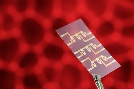 Mittels eines so genannten Multi-Elektrodenlayout können mehrere Zellproben parallel untersucht werden. Foto: obx-news/Fraunhofer EMFT/Bernd Müller