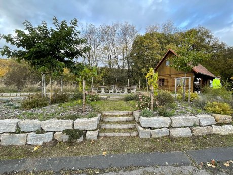 Foto 2_Beispiel für gelungene Biodiversität die Abt-Ludwig-Winzerhütte in Oberschwarzach. Foto D.jpg
