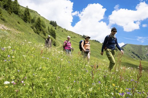 Oesterreich rund um das Zafernhorn_zip.jpg