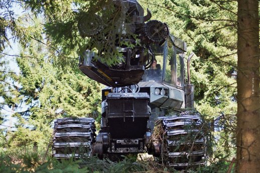 Holzernte_Harvester_az_2007.jpg.JPG