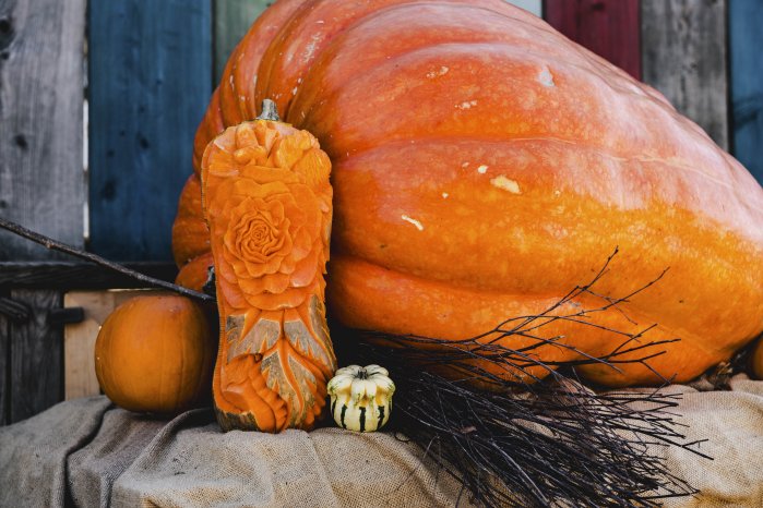 Kürbiswochen 2024 @Nick Berger Web-27.jpg