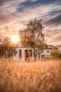 Die BIRKENHOF-BRENNEREI im sommerlichen Abendlicht ©Willwacher