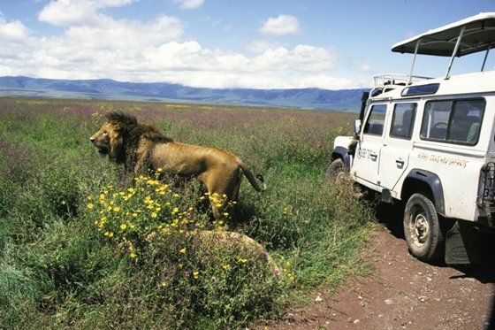 tansania_tansnp_ngorongoro_tk04.jpg