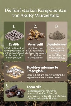 Wurzelstolz 5 Komponenten.jpg