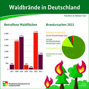 Infografik_Waldbrandstatistik_2023.jpg