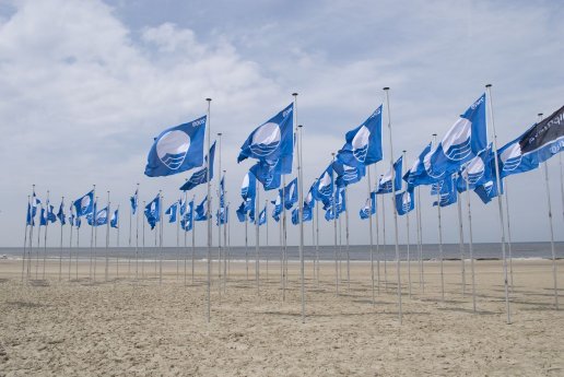Blaue Flaggen Quelle NBTC.jpg
