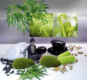 Gesundheit