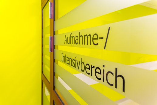 200706_Pressegespräch_Umbau_P10_Bildquelle_Markus_Kümmerle (1 von 1)-30.JPG