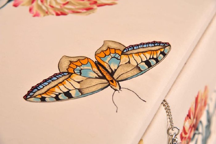 Valise - Butterfly..jpg