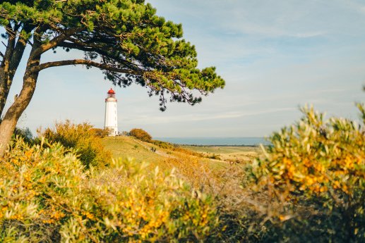 Vuurtoren Hiddensee©TMV Petermann.jpg