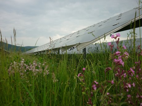 Solarpark_Mooshof.JPG