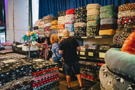 hundundkatze Niederrhein 3 (Archivfoto).jpg