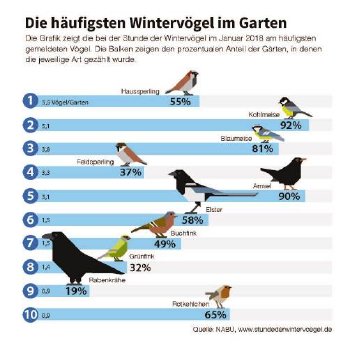 21.101541.512.infografik_Top10_häufigste Gartenvoegel_RZ.jpg