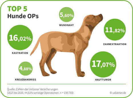 Uelzener_Top-5-Hunde-OPs_Grafik_quer_sRGB.jpg