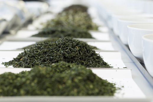 loser-Tee-beim-Tea-Tasting_MIRENE SCHMITZ.jpg