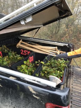 Landenberger For Future_Landenberger pflanzen Leben_Foto-Christian Phiesel (6)_komprimiert.JPG