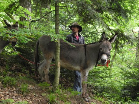 Eselwanderung_2_Kur und Bäder GmbH Bad Krozingen.jpg