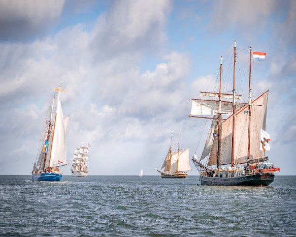 20221001 WHV Sailing CUP 2022 - R Ganske 041.jpg