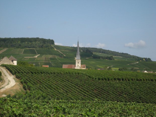 Champagne_Bonnet-Ponson Landschaft.jpg