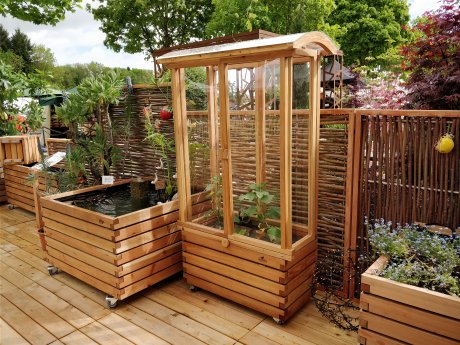 Tomatentram und Kubio.jpg