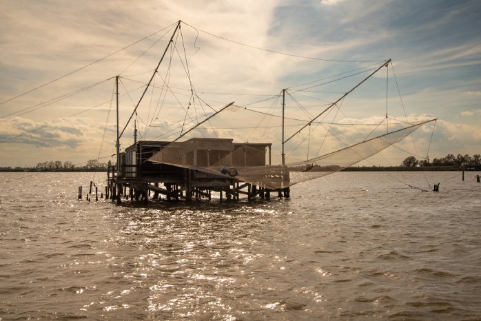 Delta del PO@R.Maggioni.jpg