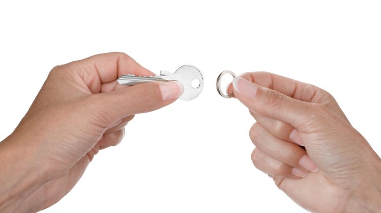 kr25-10st-26Nail Guard Easy_Troika.JPG