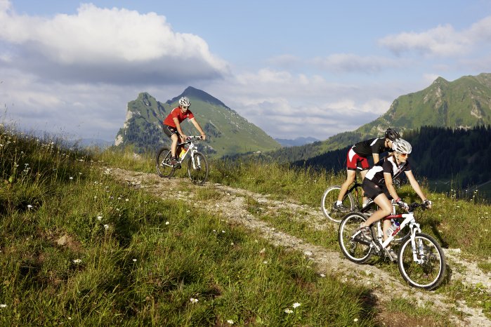 Mountainbike©AdolfBereuter_BregenzerwaldTourismus.jpg