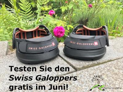 Bei der Hufschuhanzieherin