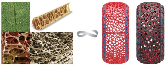 Kumho BON inspiriert aus der „Voronoi“-Architektur von Blattzellen und der Wabenstruktur vo.jpg