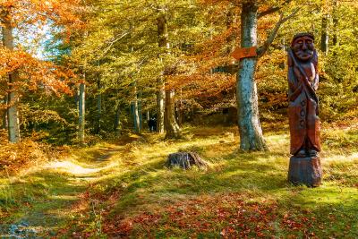Wöchentlichen KTW-Wanderungen im Oktober und November