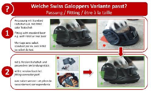 Die Swiss Galoppers Auswahl