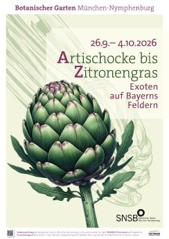 1 Plakat Erntedank 2026_123RF_Grafik_Tanja Simon.jpg
