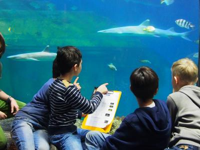 Kinder bei der Fischinventur