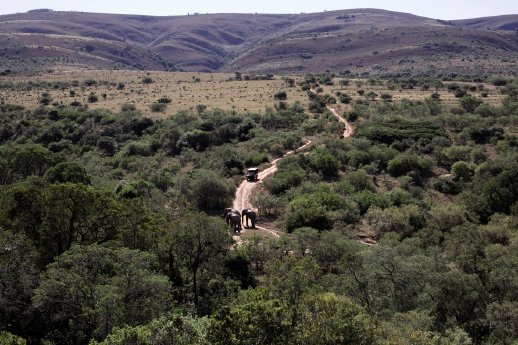 Addo Elephant Nationalpark (C) South Africa Tourism.jpg