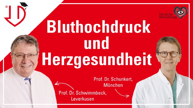 Bild1.png