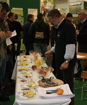 11-01-27 IPM-Apfelverkostung3.jpg