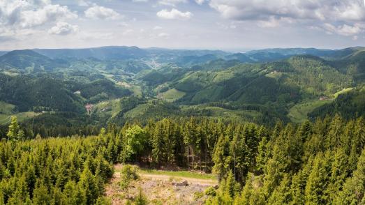 Aussicht vom Buchkopfturm, Oppenau-Maisach © Chris Keller/Schwarzwald Tourismus
