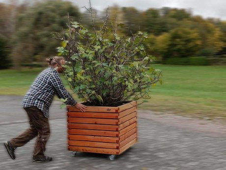 pflanzkasten-xxl-mit-rollen-einwintern-10-2023-02.jpg
